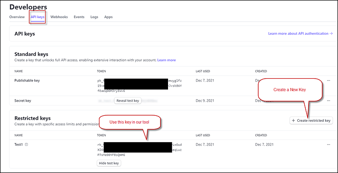 Stripe Developers Page