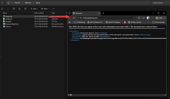 XML File