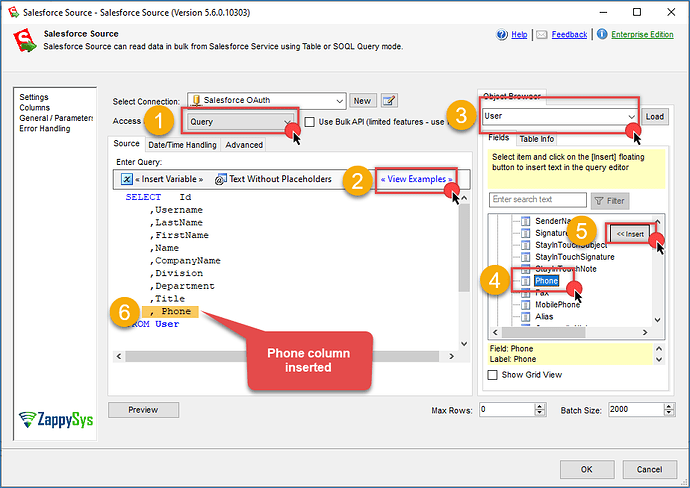 Preview Salesforce query data