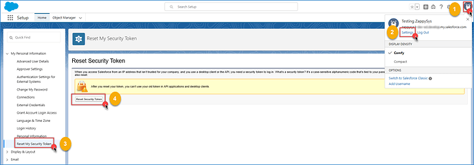 Salesforce Token