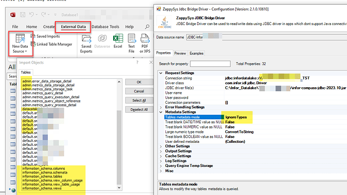 Import Infor Datalake Tables and Views in MS Access using ZappySys JDBC Bridge Driver