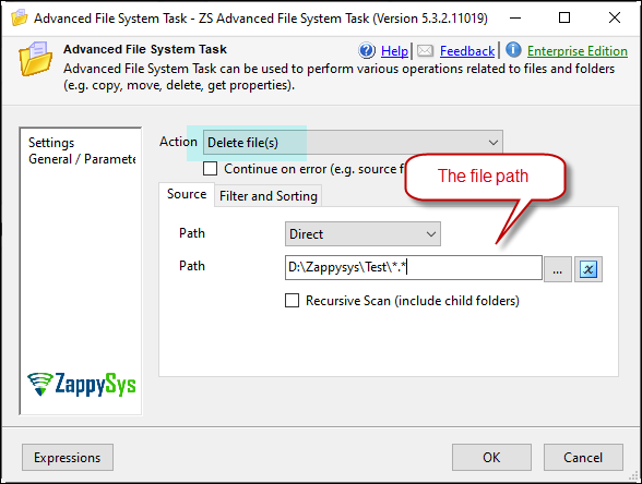 Advanced File System Task Delete option example 2