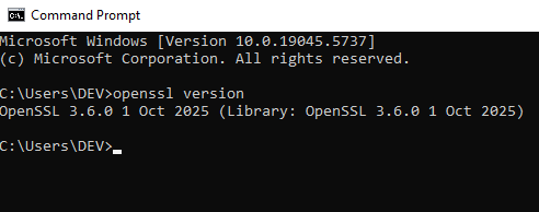 output in Command Prompt