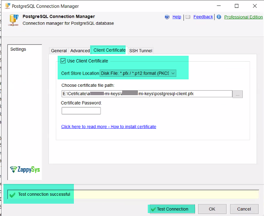 PostgreSQL Connection Manager with file configured